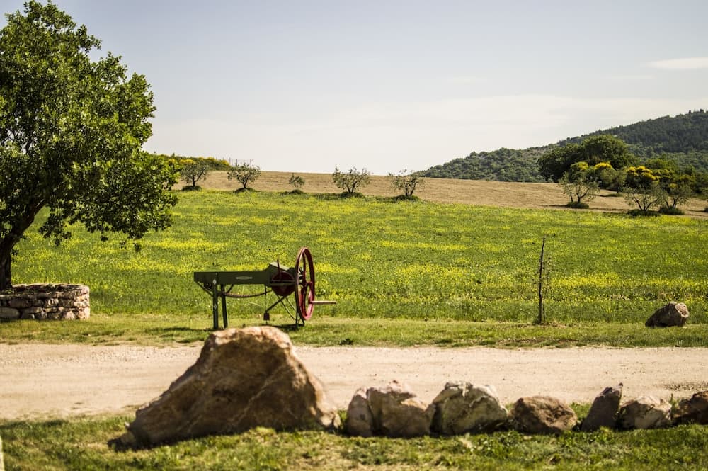 Konaklama yeri alanı