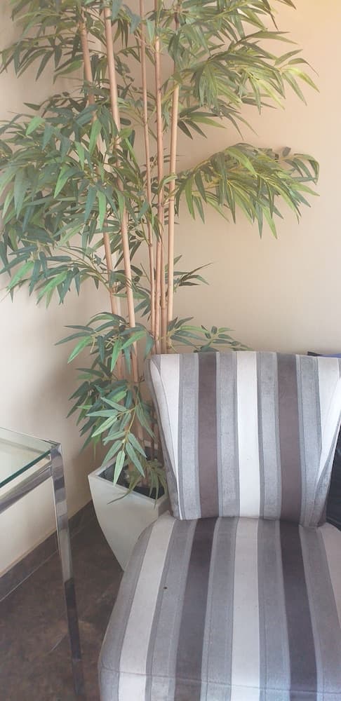 Departamento Privado y Centrico en Lince