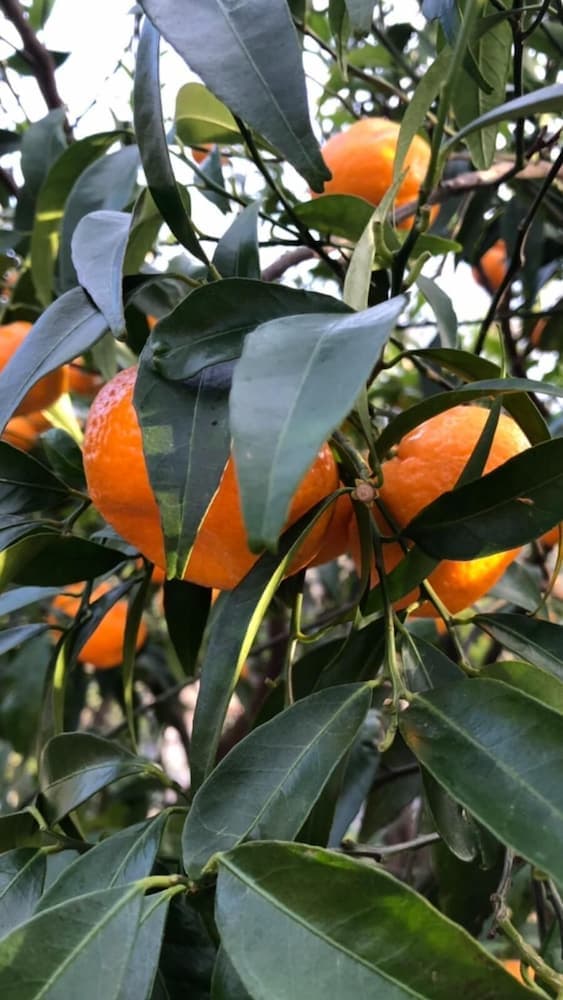 Dış mekân detayı