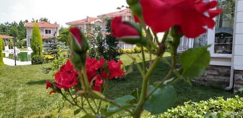 Palace Kırkpınar