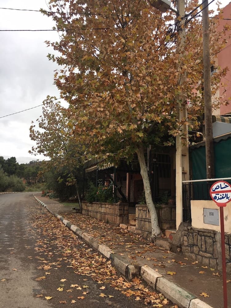 Ighbola Ouzoud