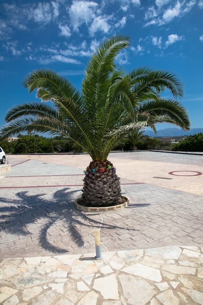 Konaklama yeri alanı