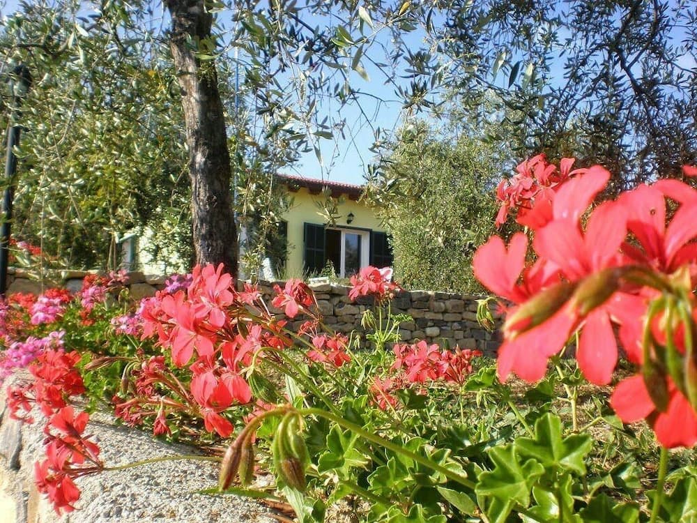 Agriturismo il Grande Ulivo