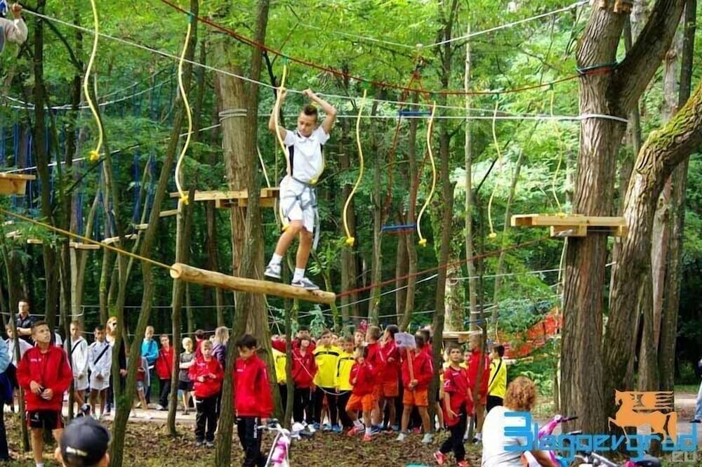 İp parkuru (ekip oluşturma)