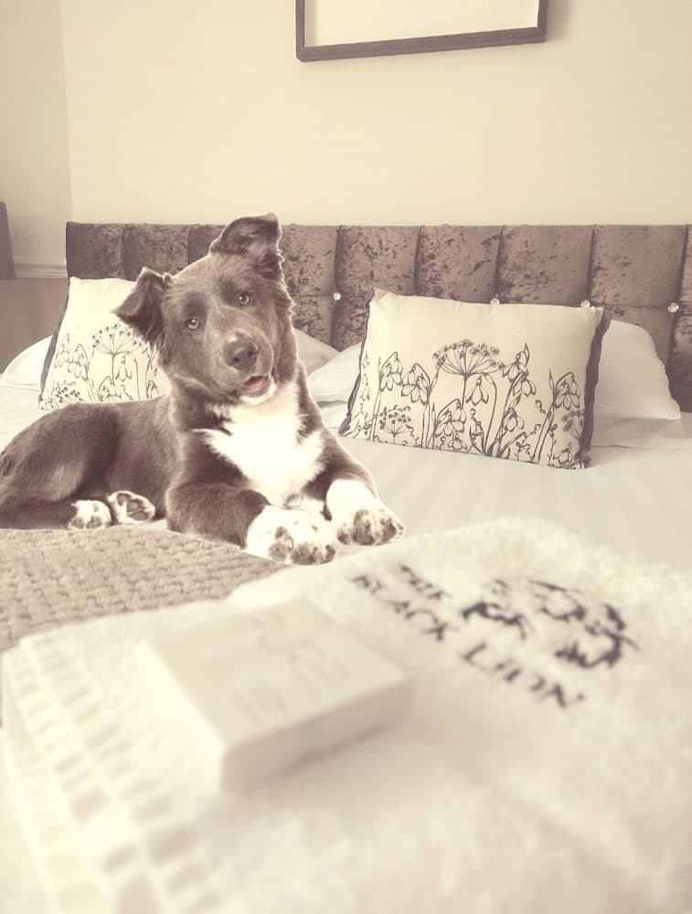 The Black Lion Royal Hotel