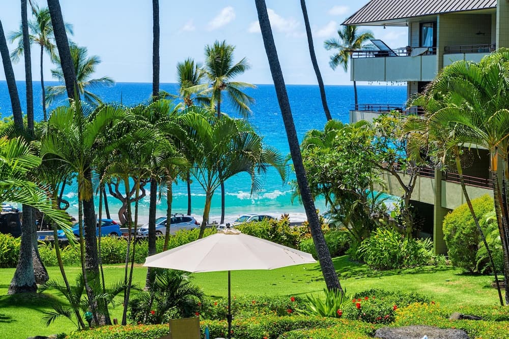 Konaklama yerinden manzara