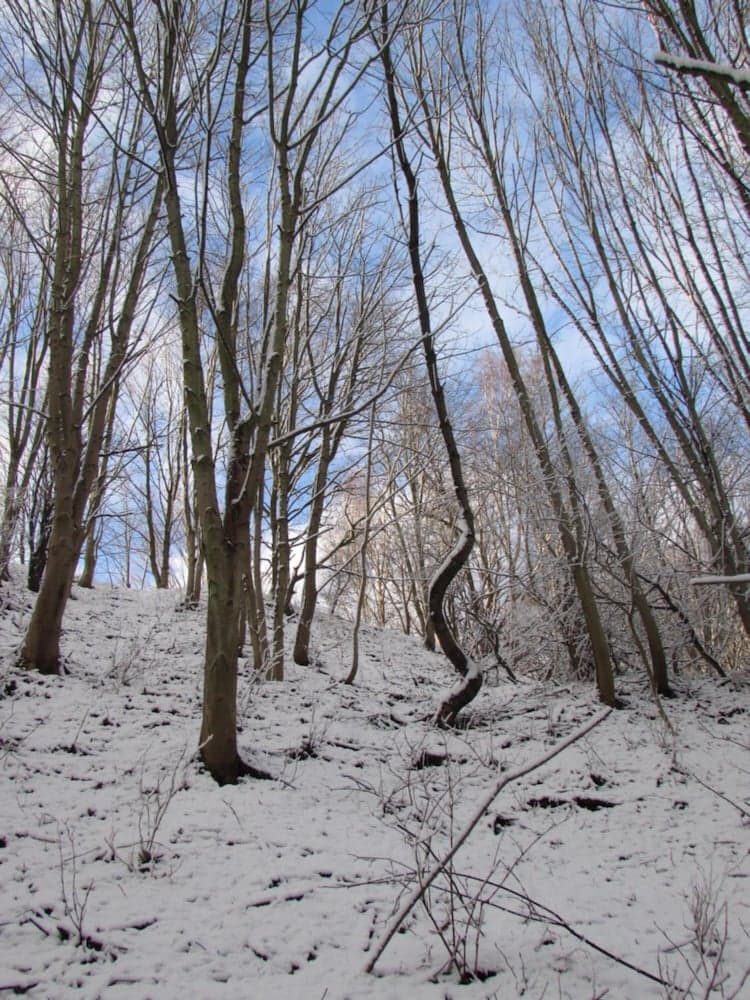 Konaklama yeri alanı