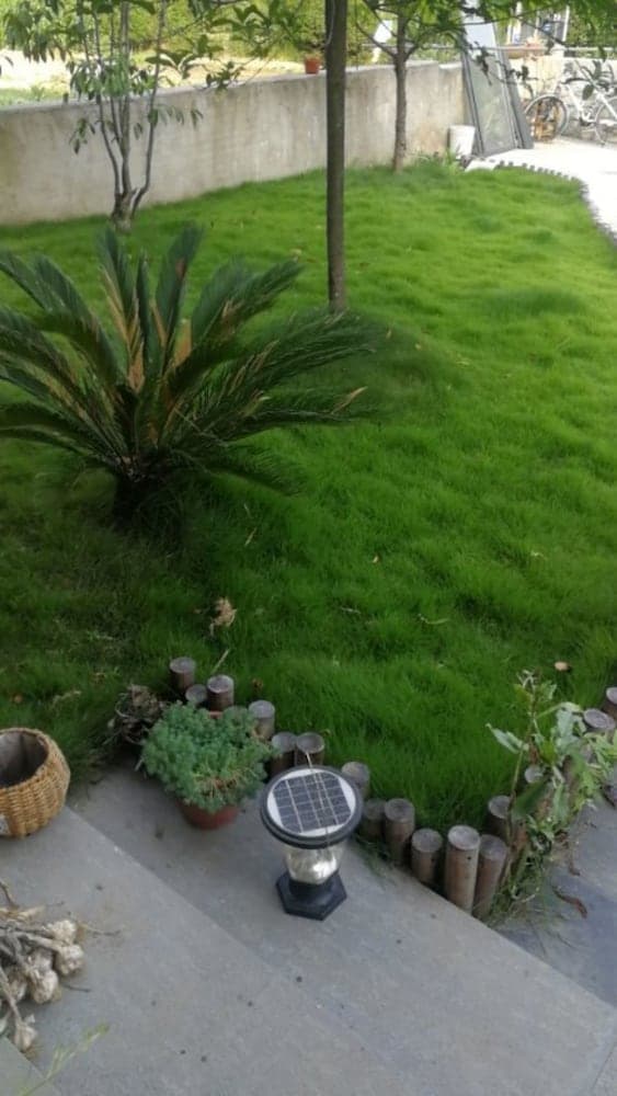 Dış mekân detayı