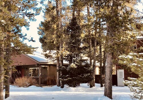 Shepherd Family Retreats- FOX