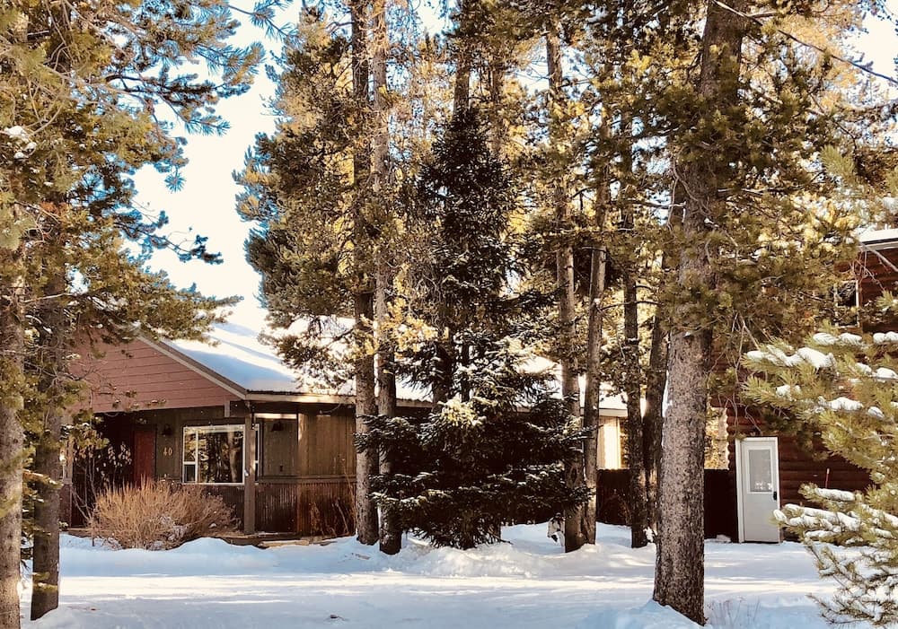 Shepherd Family Retreats- FOX