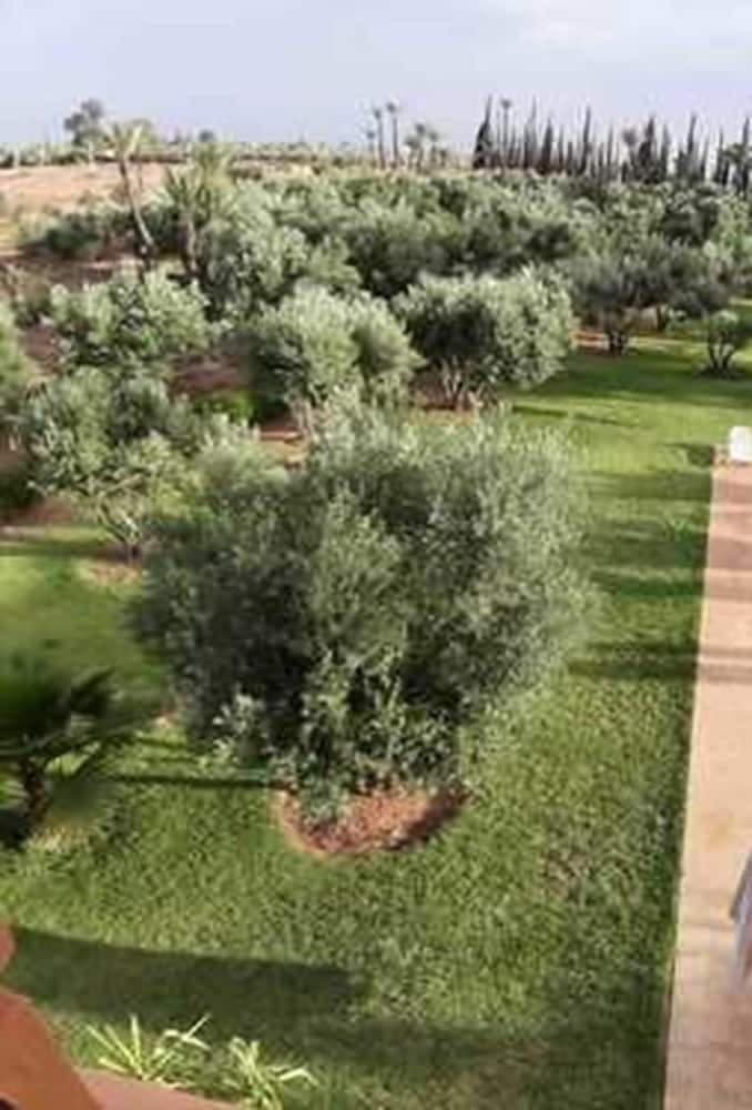 Bahçe