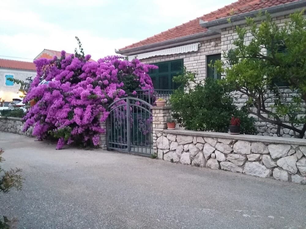 Bina tasarımı