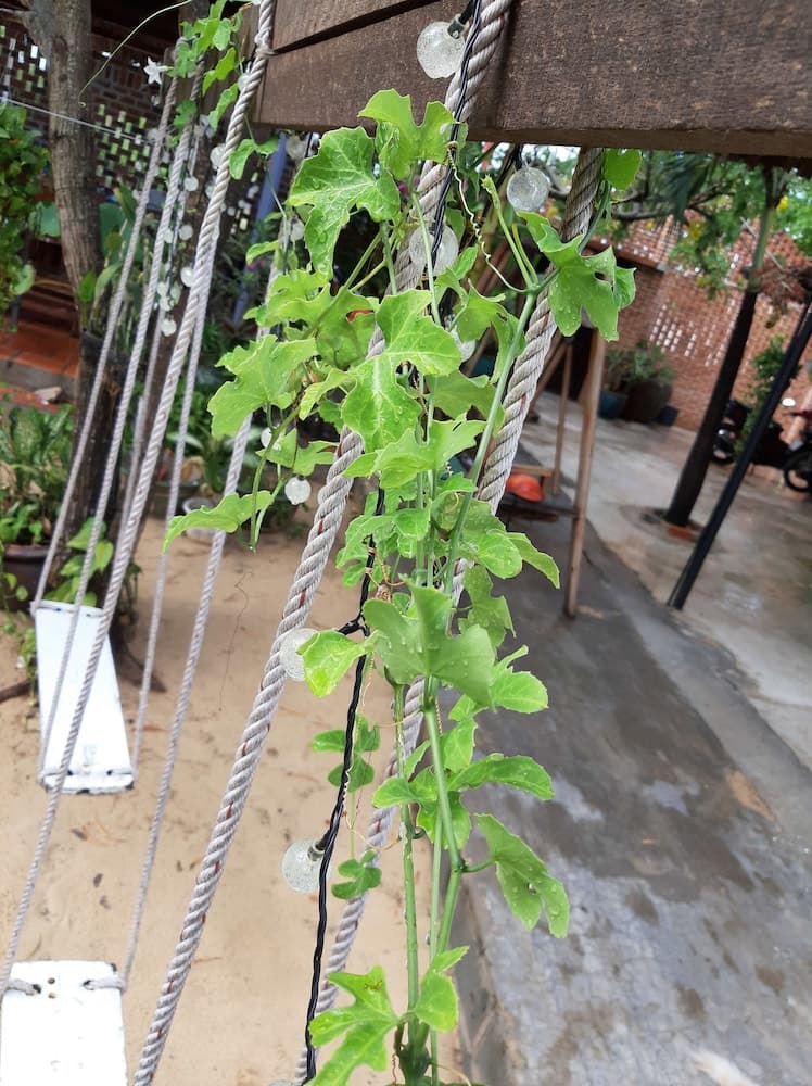 Giriş/çıkış büfesi