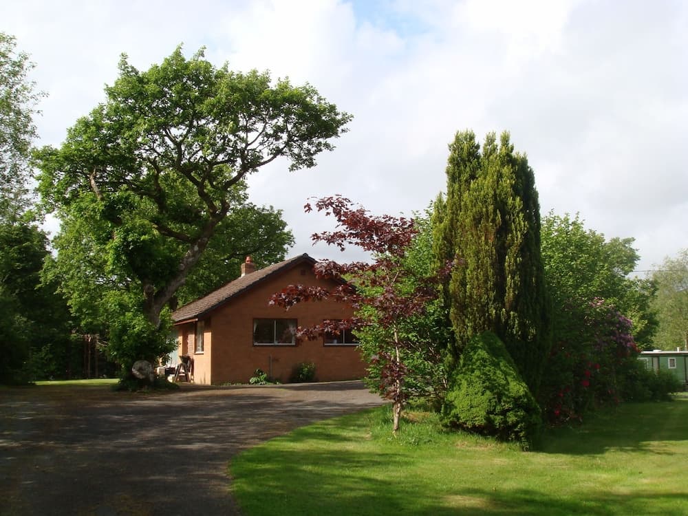 Broncoedwig Devil's Bridge