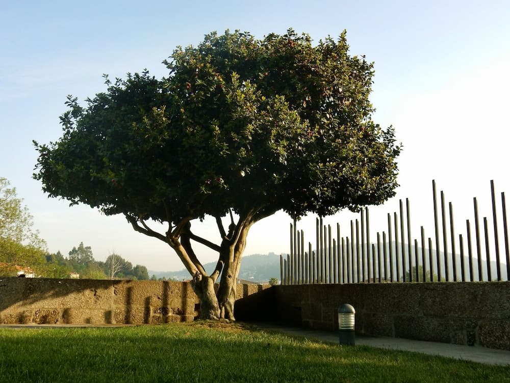 Quinta das Lavandeiras - Caldas de Vizela