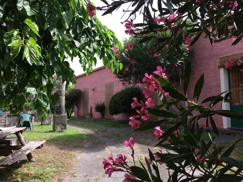 Codavolpe Giardino di Tea