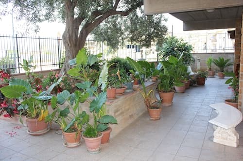 B&B Ulivo