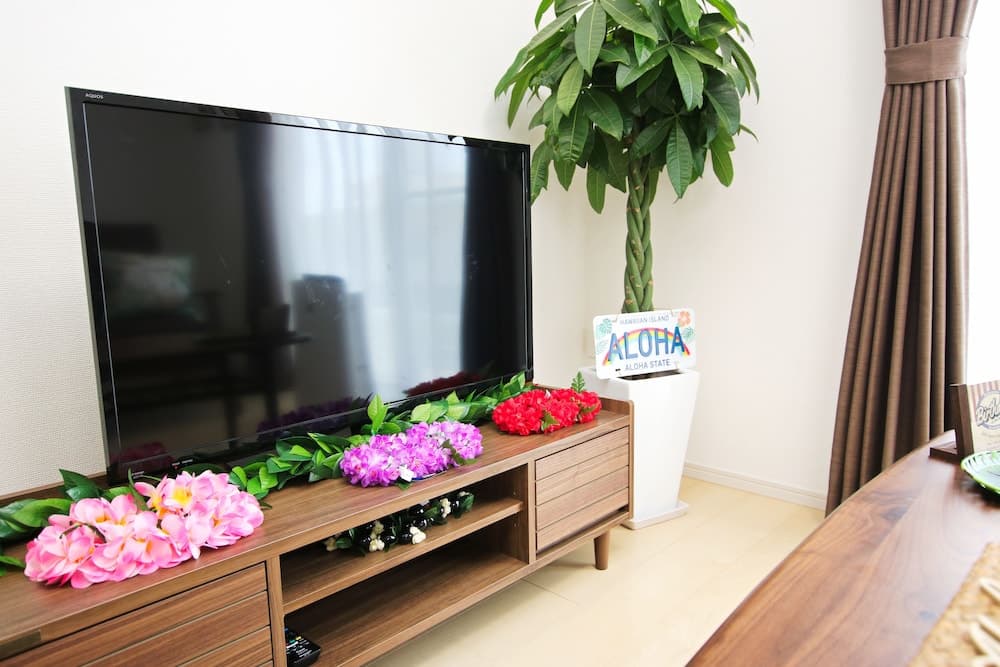 Televizyon