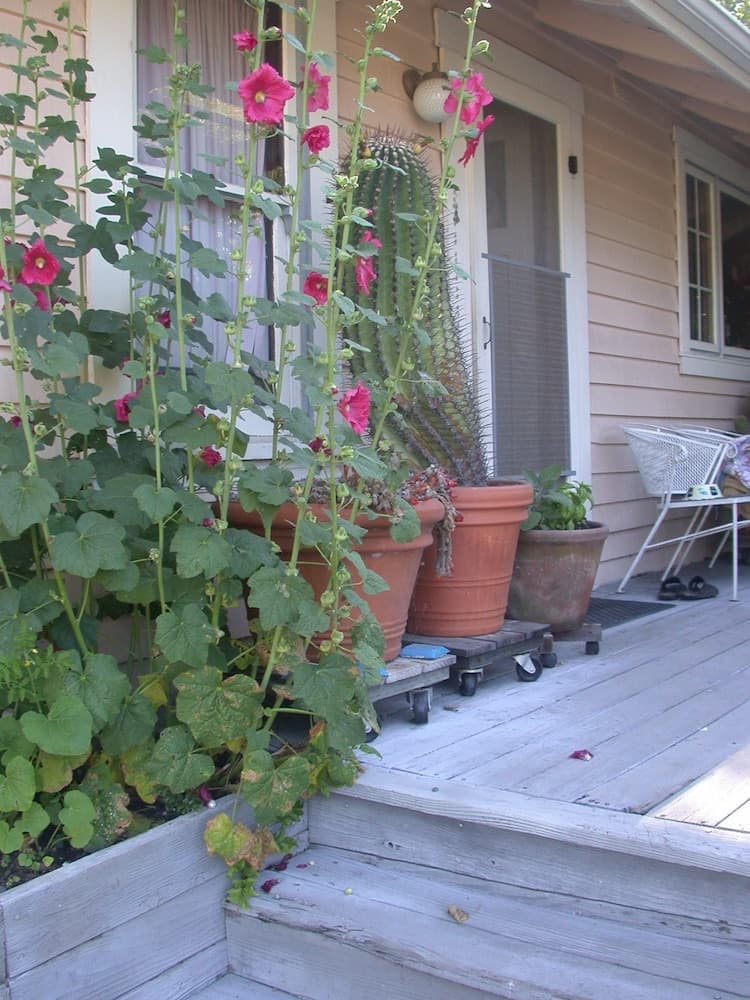 Konaklama yeri girişi