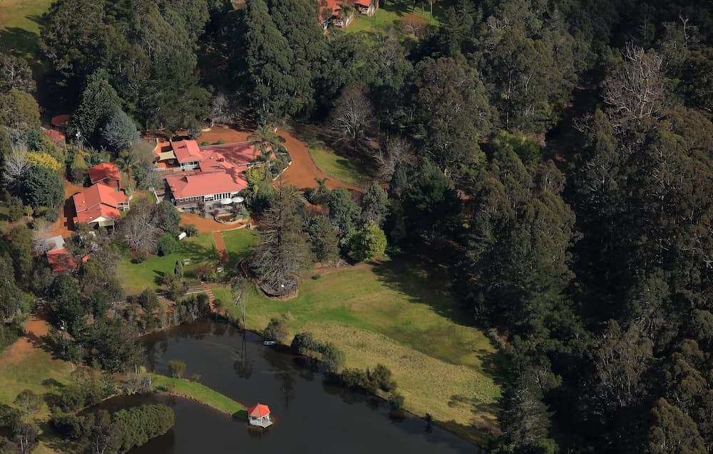 Forest Lodge Resort