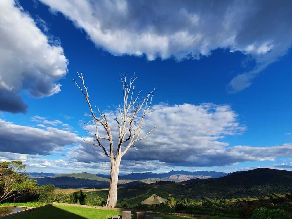 Kings Walden Garden Manor