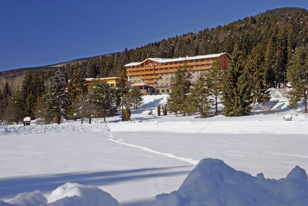 Hotel Partizán
