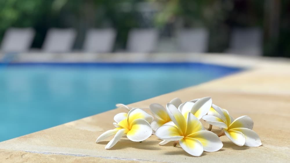 Hi Ho Beach Apartments