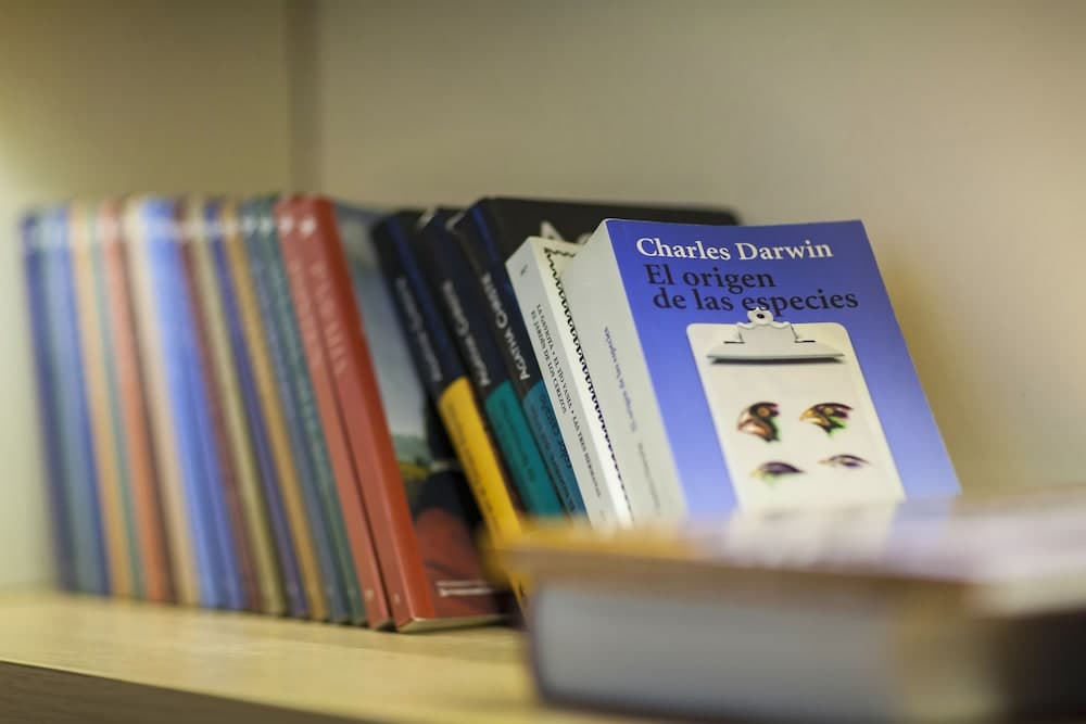 COCO-MAT Hotel Nafsika