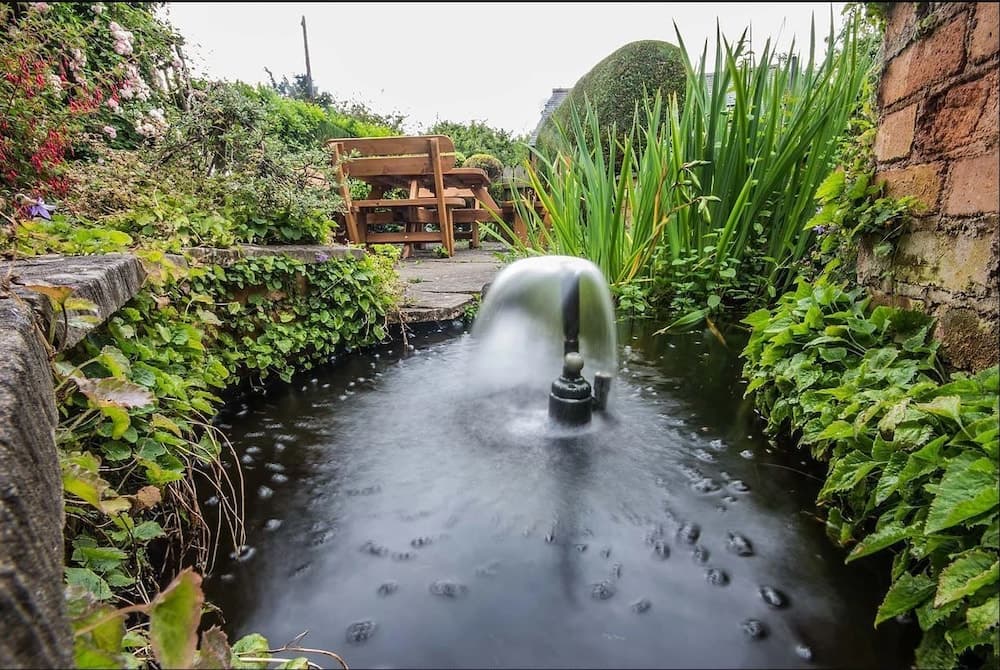 Feather Bed Cottage B&B