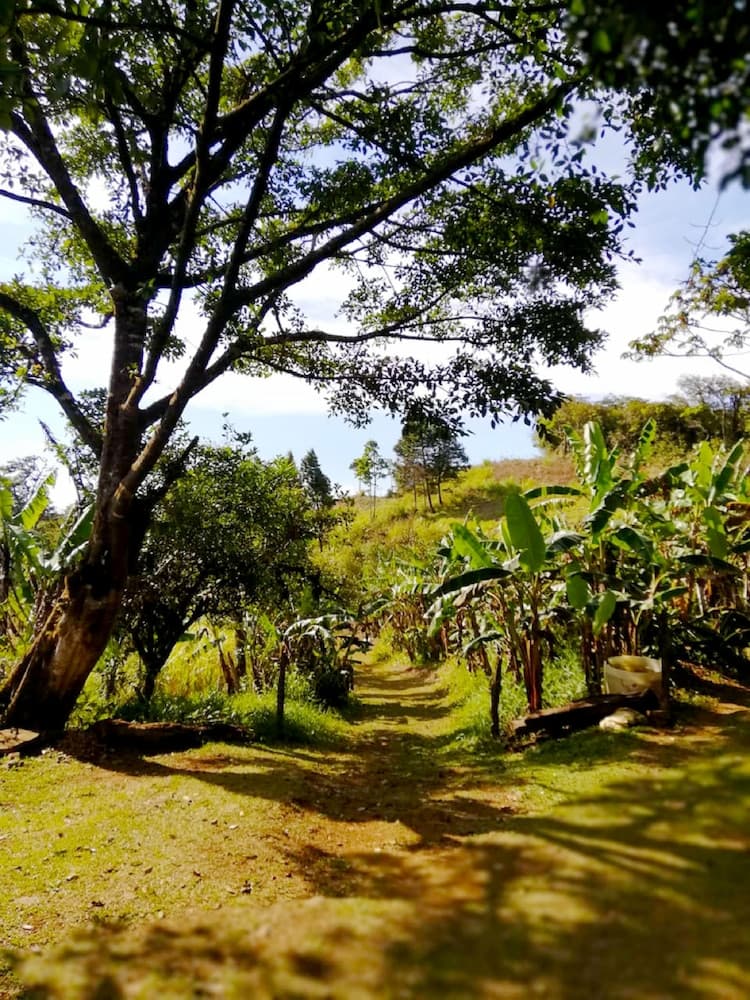 Cabañas Las Orquideas