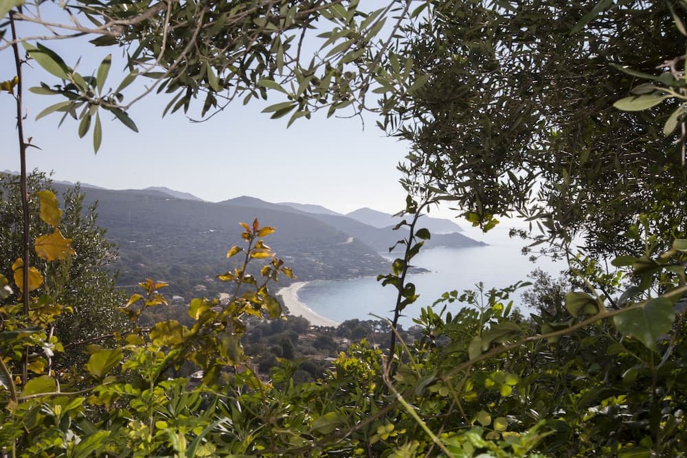 Konaklama yerinden manzara