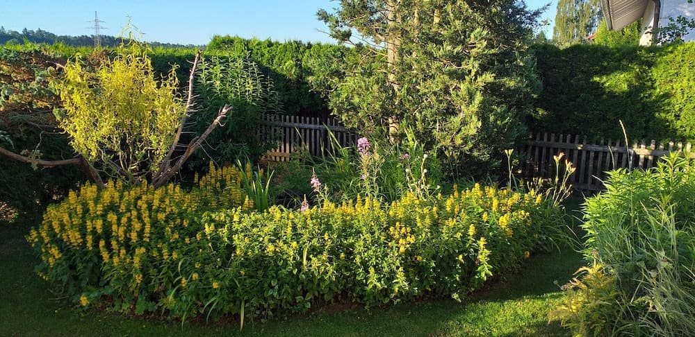 Grand Apartment Allgäu