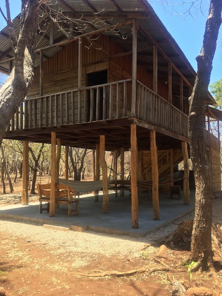 Finca Avellanas