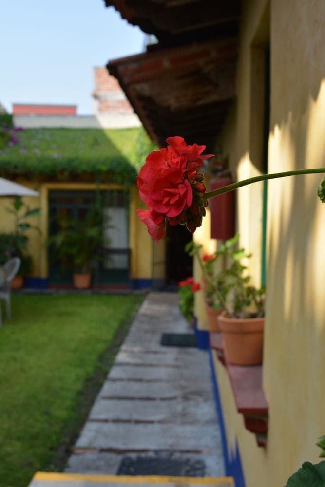 Barbekü/piknik alanı