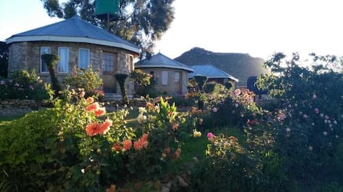 Lapeng Ha Mamosa