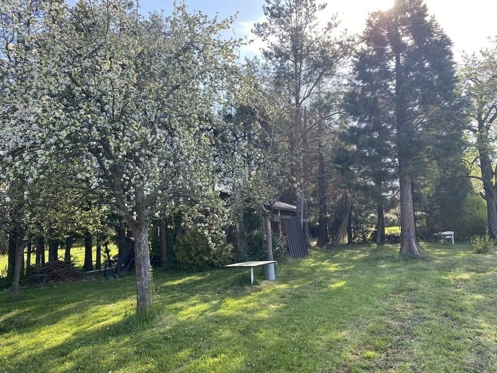 Bahçe