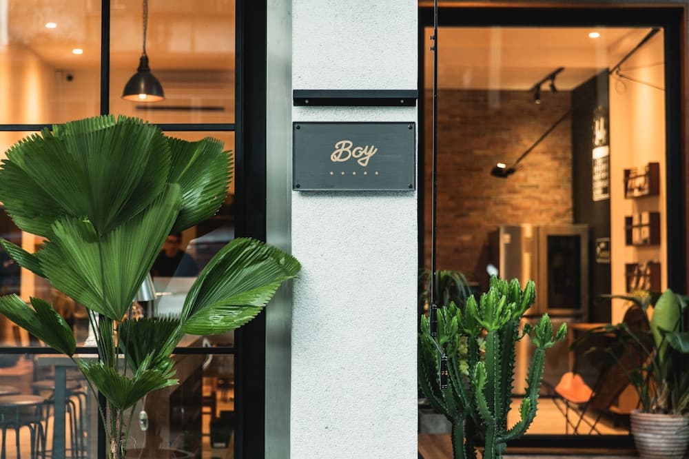 Boy Apartment
