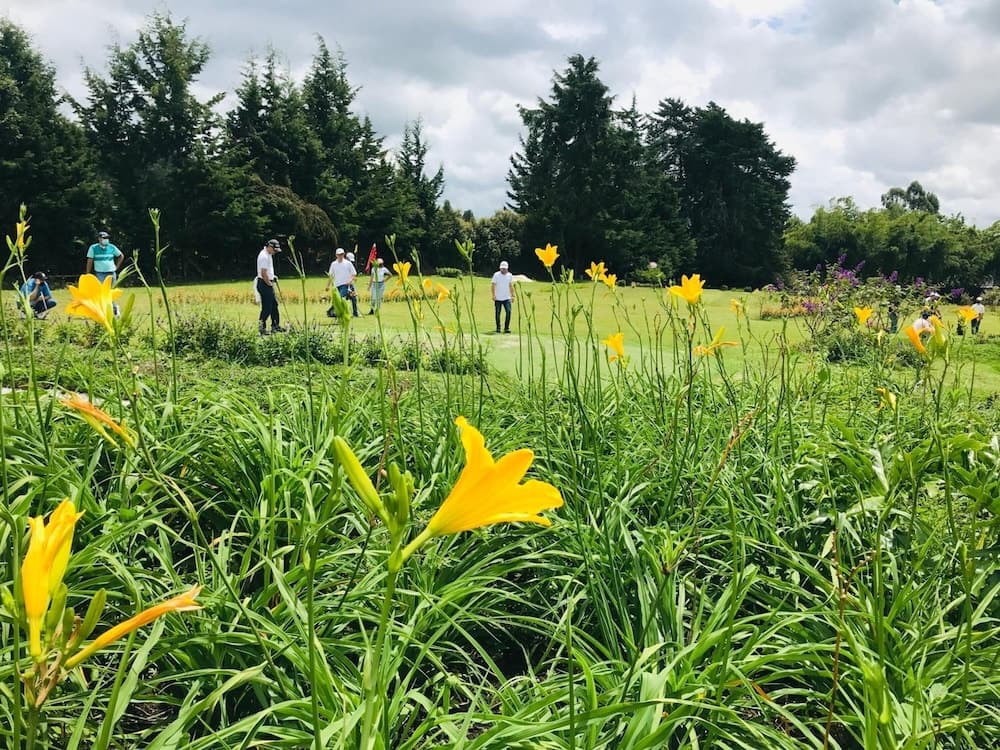 Isak Hotel & Golf Airport