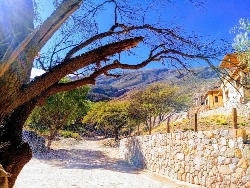 La Quinta de María -Tilcara