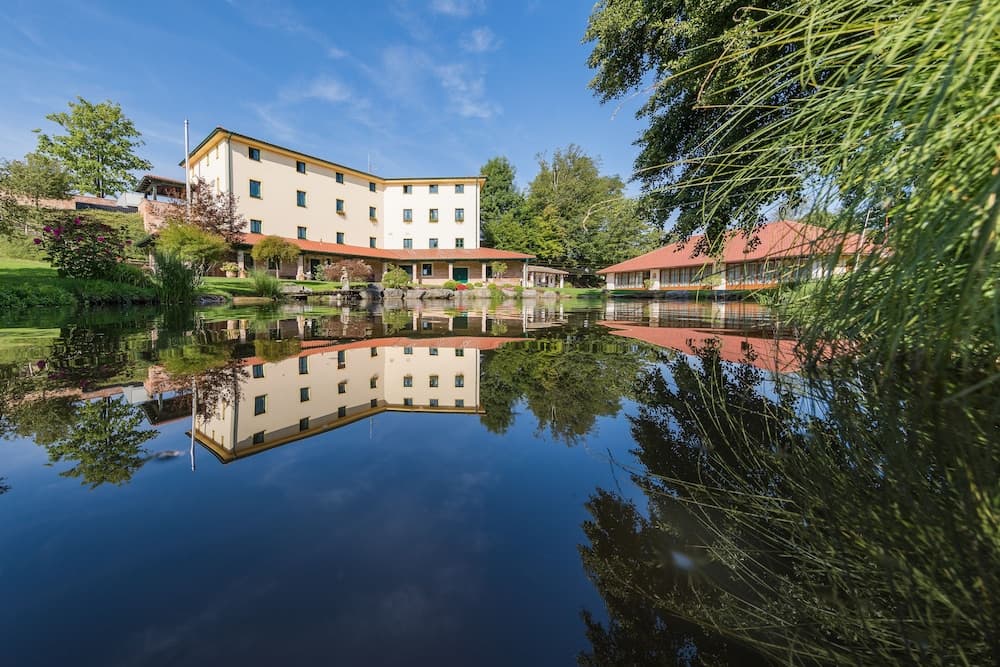 Boutique Hotel Pri Mlyne