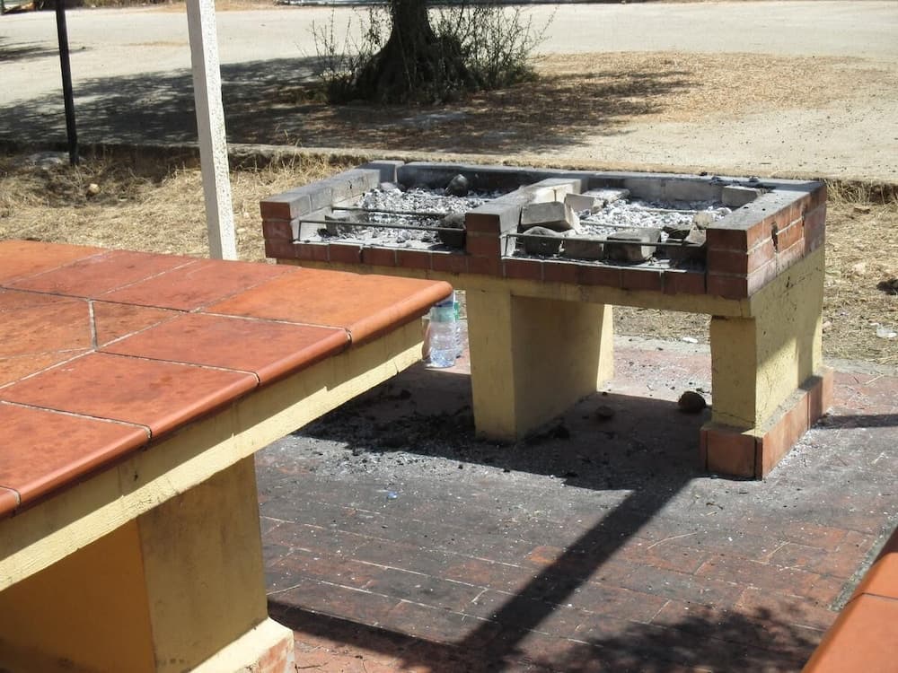 Barbekü/piknik alanı