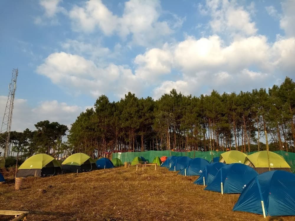 Camp David Kigwema