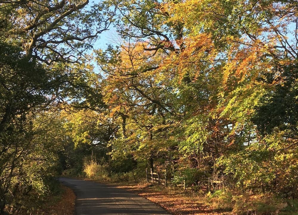 Konaklama yeri alanı