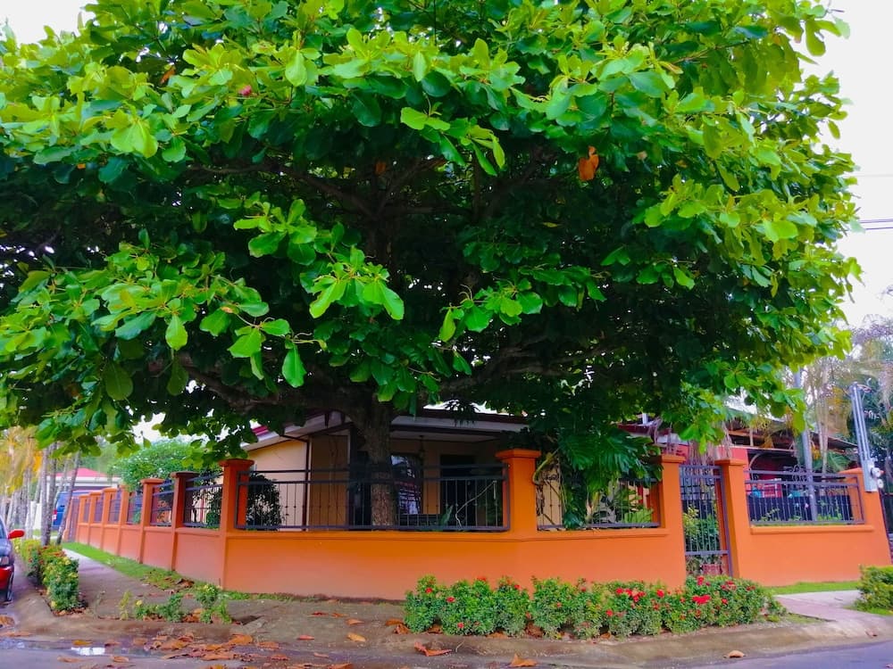 Konaklama yerinin ön cephesi