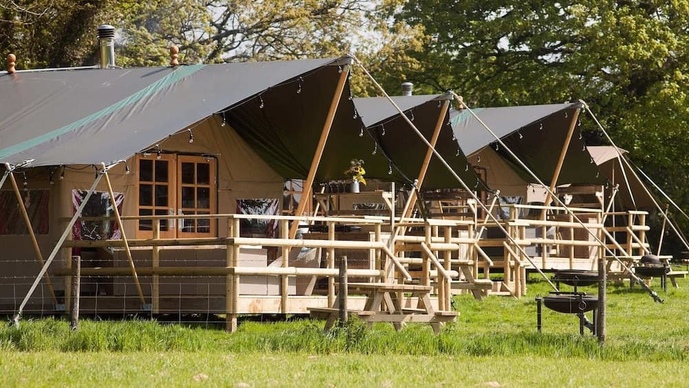 Primrose Farm Holidays