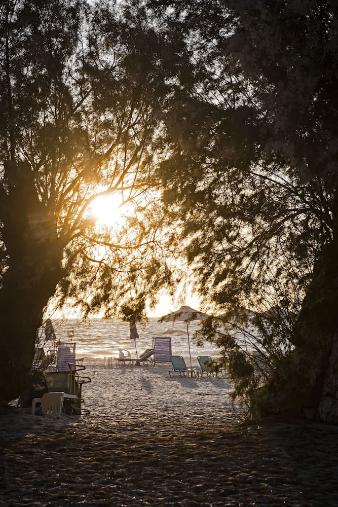 Angela Thalia Apartments