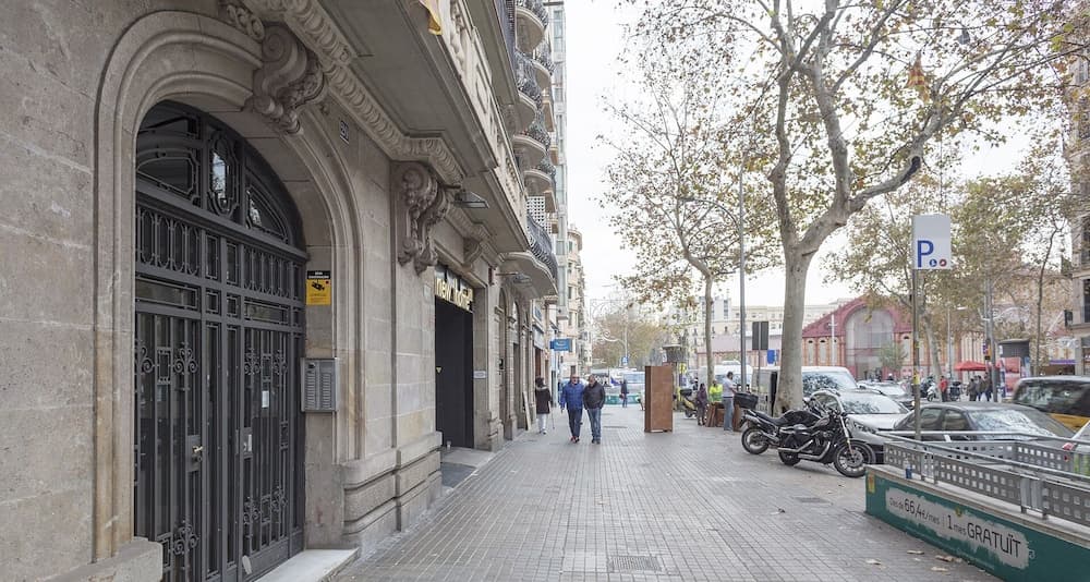 Alcam Classic Urgell