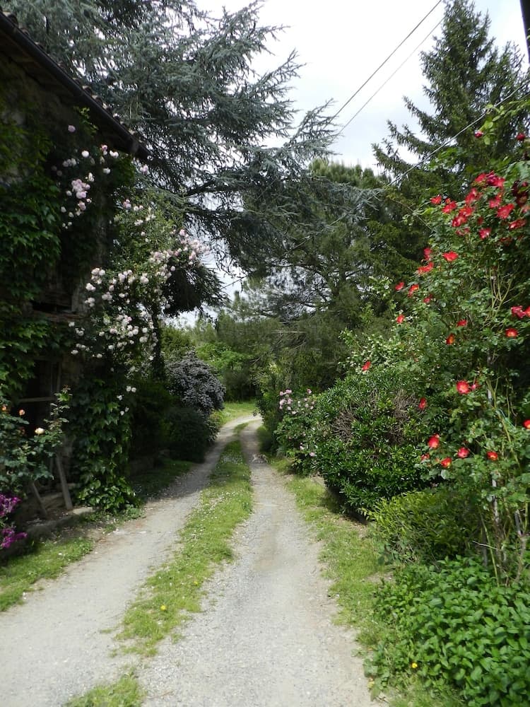 Konaklama yeri girişi