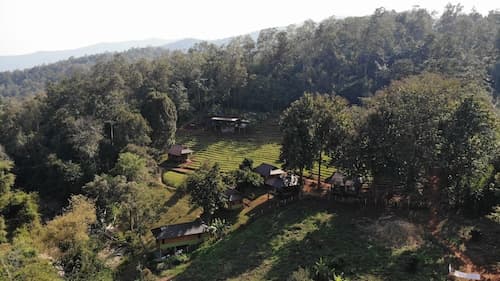 Chiang Mai Elephant Friends