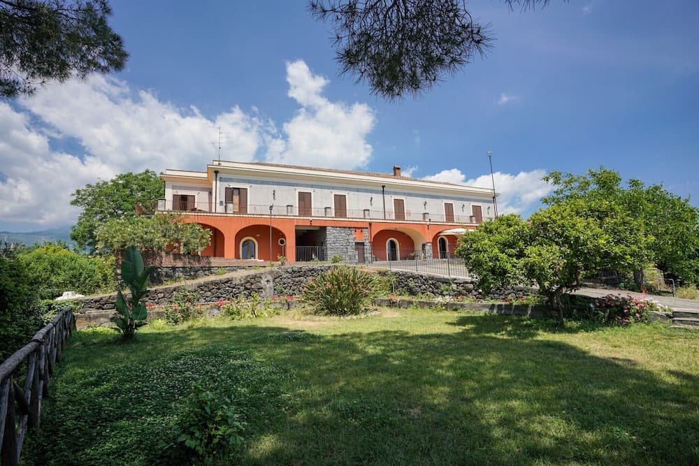 Il Sentiero degli Ulivi